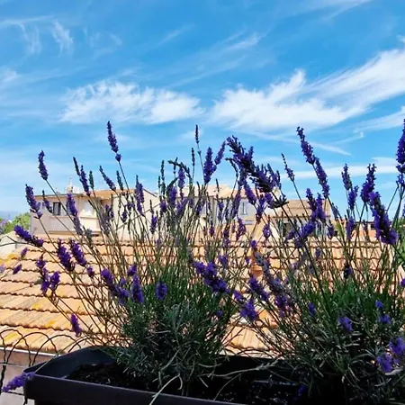 4 Le Saint Joseph Center With Ac Apartment Antibes